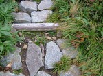 DSCF1960.jpg