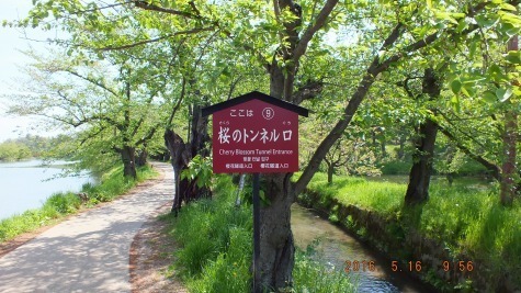 DSCF1972.jpg