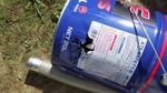DSCF2037.jpg