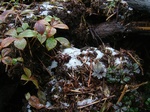 DSCF2048.jpg