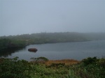 DSCF2050.jpg