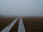 DSCF2053.jpg