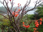 DSCF2058.jpg