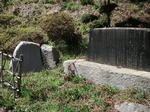 DSCF2105.jpg