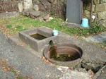 DSCF2108.jpg
