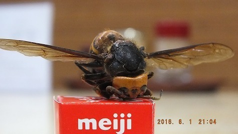 DSCF2109.jpg