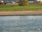 DSCF2117.jpg