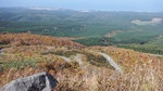 DSCF2140.jpg
