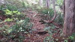 DSCF2190.jpg