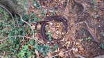 DSCF2192.jpg