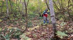 DSCF2193.jpg