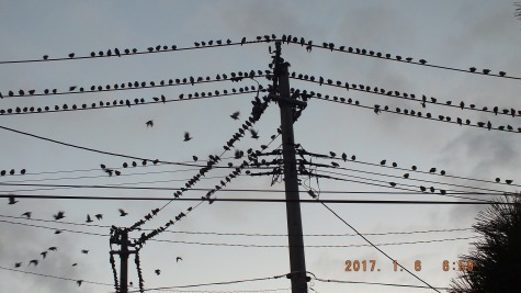 DSCF2196.jpg