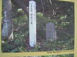 DSCF2215.jpg