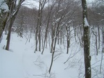 DSCF2237.jpg