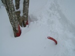 DSCF2238.jpg