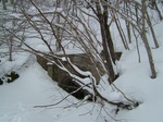 DSCF2257.jpg