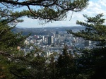DSCF2261.jpg