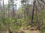 DSCF2277.jpg