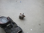 DSCF2291.jpg