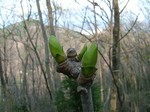 DSCF2299.jpg