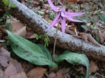 DSCF2302.jpg