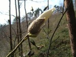 DSCF2304.jpg