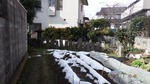 DSCF2322.jpg