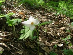 DSCF2322.jpg