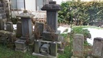 DSCF2324.jpg