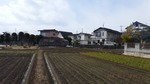 DSCF2325.jpg