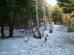 DSCF2356.jpg