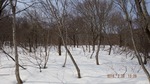 DSCF2359.jpg
