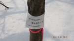 DSCF2364.jpg