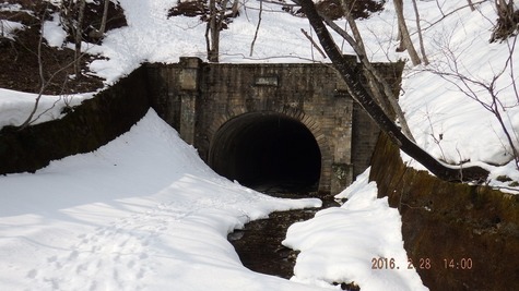 DSCF2365.jpg