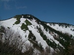 DSCF2376.jpg