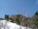 DSCF2378.jpg