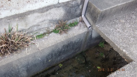 DSCF2381.jpg