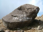 DSCF2384.jpg