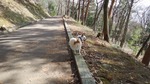 DSCF2400.jpg