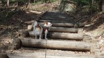 DSCF2401.jpg