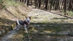 DSCF2404.jpg