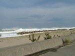 DSCF2411.jpg
