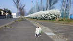 DSCF2412.jpg
