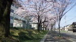 DSCF2416.jpg
