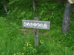 DSCF2428.jpg