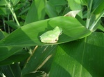 DSCF2437.jpg