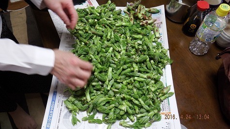 DSCF2443.jpg