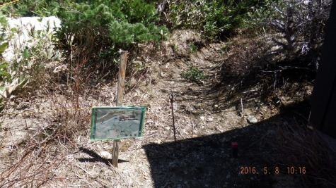 DSCF2478.jpg