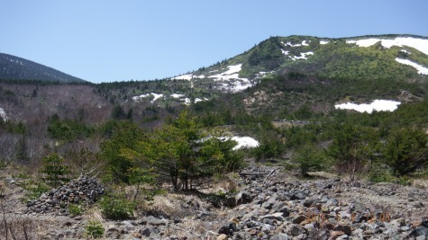 DSCF2493.jpg