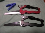 DSCF2497.jpg